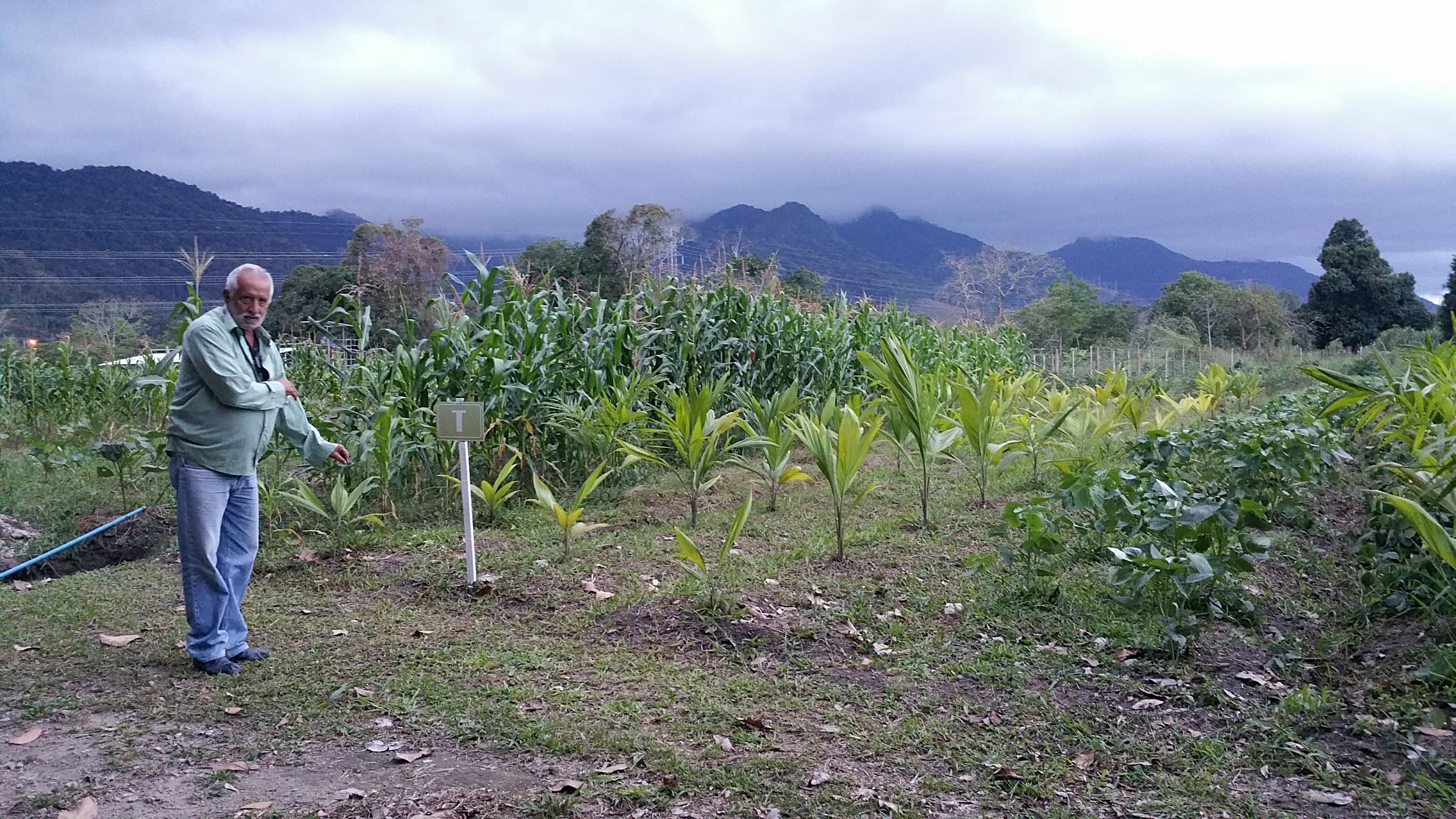 GEF-supported IEM project in Rio de Janeiro