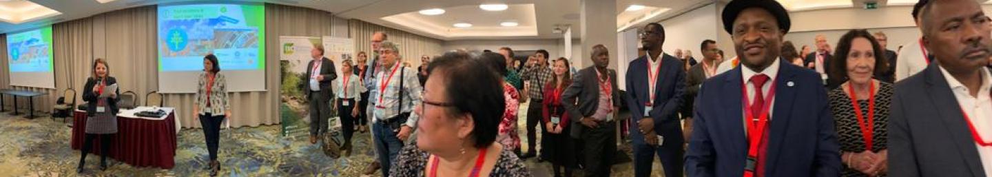 3rd International conference