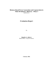 biomass-based-power-generation-palm-oil-industry-2006