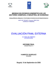 commercial-industrial-sectors-pesic-honduras-2008