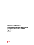 eficiencia-energetica-productiva-pieep-argentina-2008