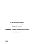 renewable-energies-and-energy-efficiency-2009