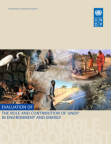 role-contribution-undp-environment-energy-2008