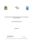 transformation-rural-photovoltaic-market-tanzania-2009