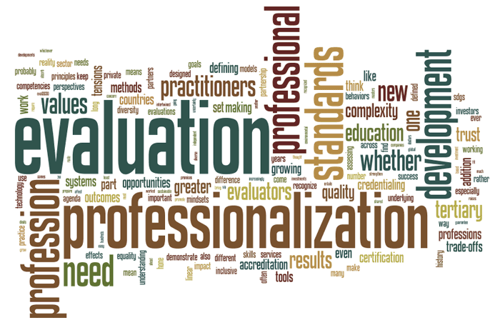 Professionalization With a View to Eval2030